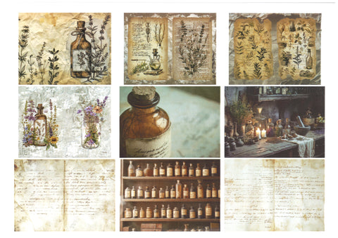 "Sini-Mini" Kreativset "Kräuter" // 17 Seiten // DIN A 4 // 110 g/m² und 160 g/m²