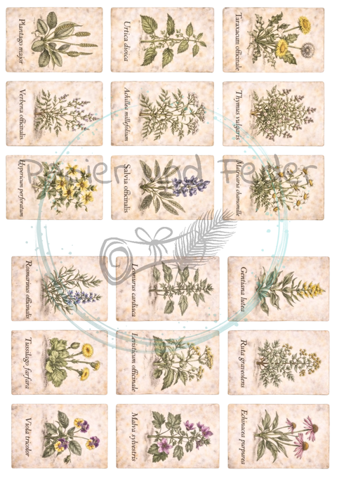 Label- und Ephemeraset zum Papierset "Betty's Kräuterapotheke" // 16 Seiten // DIN A 4 // 160 g/m²