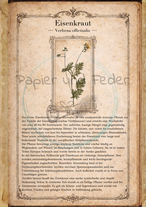 "Sina's Herbarium" // Booklet mit 22 Seiten // DIN A 5