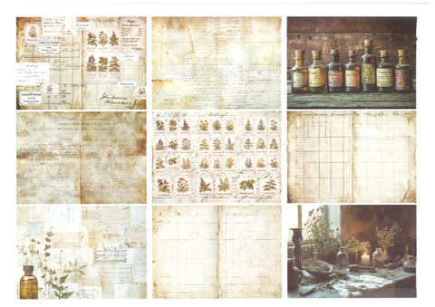 "Sini-Mini" Kreativset "Kräuter" // 17 Seiten // DIN A 4 // 110 g/m² und 160 g/m²