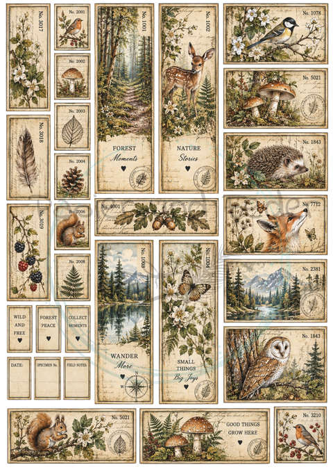 KOMPLETTSET "Waldspaziergang"
