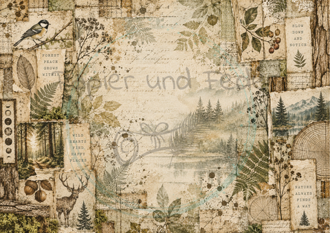 Designpapier "Waldspaziergang" // 12 Blatt // DIN A 4 // einseitig bedruckt