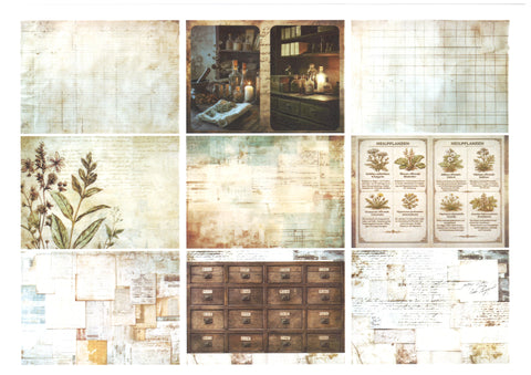"Sini-Mini" Kreativset "Kräuter" // 17 Seiten // DIN A 4 // 110 g/m² und 160 g/m²