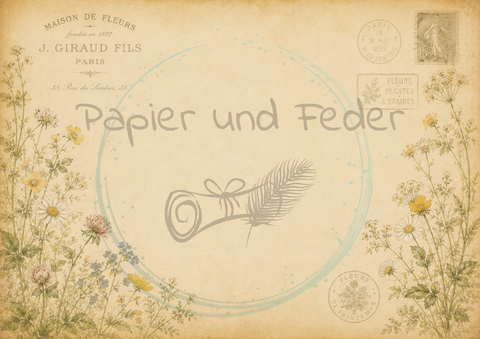 NEUER INHALT! Papier & Feder "Mystery Box" - Papiersets