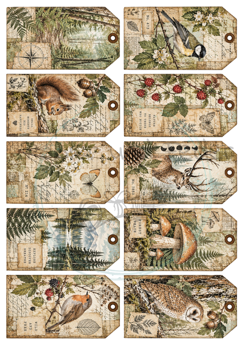 KOMPLETTSET "Waldspaziergang"