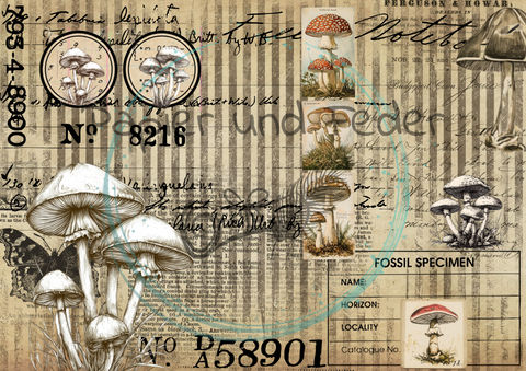 "Das Sketchbuch der Natur" Collagepapier // Papier & Feder // 12 Seiten