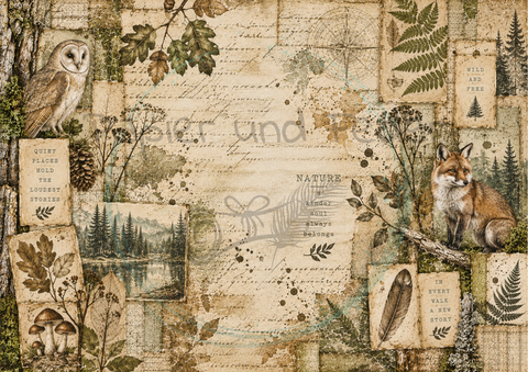 Designpapier "Waldspaziergang" // 12 Blatt // DIN A 4 // einseitig bedruckt