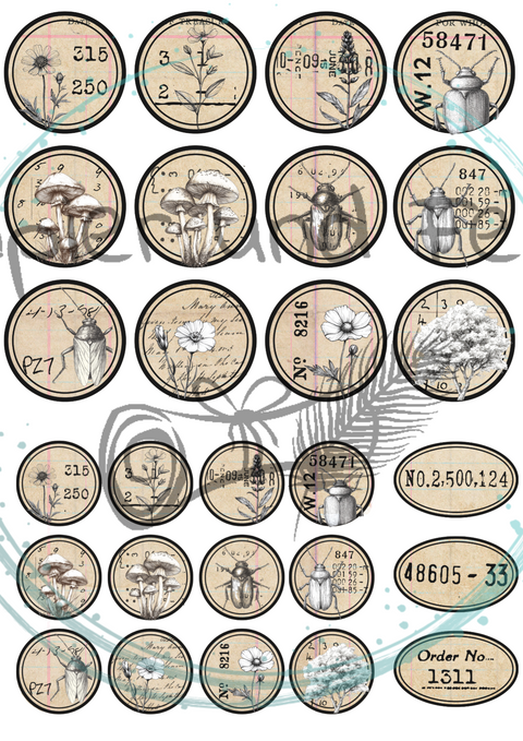 "Das Sketchbuch der Natur" // Ephemera & Label Set // Papier & Feder // 11 Seiten // einseitig bedruckt