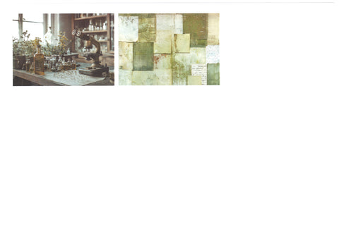 "Sini-Mini" Kreativset "Kräuter" // 17 Seiten // DIN A 4 // 110 g/m² und 160 g/m²