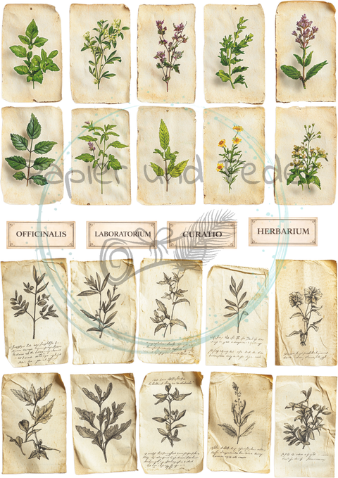 Label- und Ephemeraset zum Papierset "Betty's Kräuterapotheke" // 16 Seiten // DIN A 4 // 160 g/m²