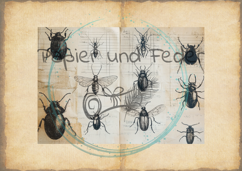 "Das Sketchbuch der Natur" // Papier & Feder // 24 Seiten // 20,5 cm x 14,3 cm (DIN A 6)
