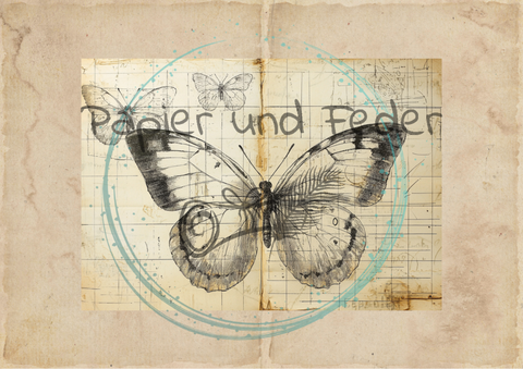 "Das Sketchbuch der Natur" // Papier & Feder // 24 Seiten // 20,5 cm x 14,3 cm (DIN A 6)