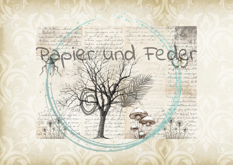 "Das Sketchbuch der Natur" // Papier & Feder // 24 Seiten // 20,5 cm x 14,3 cm (DIN A 6)