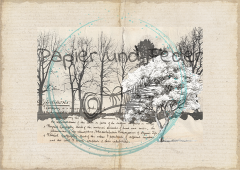 "Das Sketchbuch der Natur" // Papier & Feder // 24 Seiten // 20,5 cm x 14,3 cm (DIN A 6)