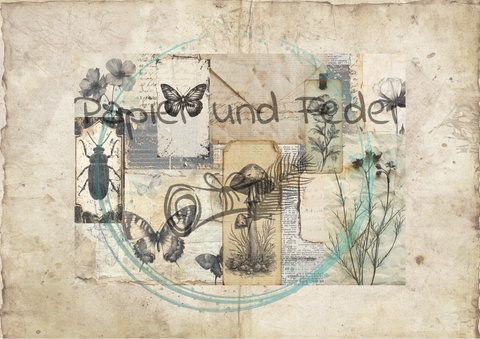 "Das Sketchbuch der Natur" // Papier & Feder // 24 Seiten // 20,5 cm x 14,3 cm (DIN A 6)