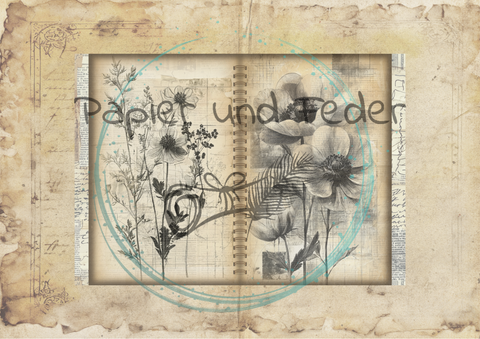 "Das Sketchbuch der Natur" // Papier & Feder // 24 Seiten // 20,5 cm x 14,3 cm (DIN A 6)