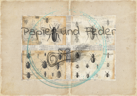 "Das Sketchbuch der Natur" // Papier & Feder // 24 Seiten // 20,5 cm x 14,3 cm (DIN A 6)