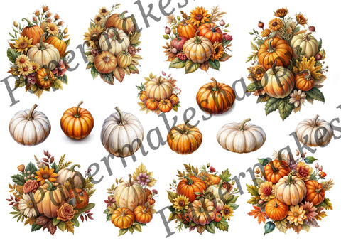 "Autumn & Pumpkins" // Papermakeshappy // Ephemera-Set // 200 g/m²