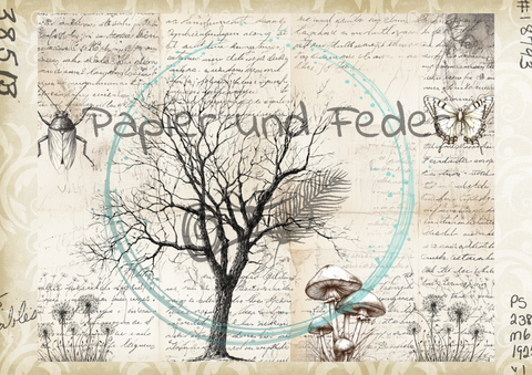 "Das Sketchbuch der Natur" // Papier & Feder // 24 Seiten // 25,5 cm x 19,6 cm