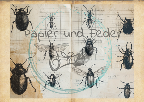 "Das Sketchbuch der Natur" // Papier & Feder // 24 Seiten // 25,5 cm x 19,6 cm