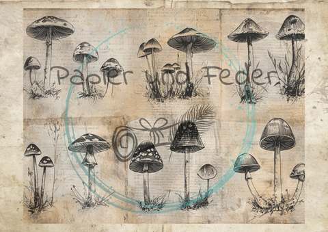 "Das Sketchbuch der Natur" // Papier & Feder // 24 Seiten // 25,5 cm x 19,6 cm