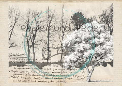 "Das Sketchbuch der Natur" // Papier & Feder // 24 Seiten // 25,5 cm x 19,6 cm