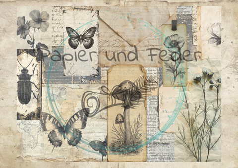 "Das Sketchbuch der Natur" // Papier & Feder // 24 Seiten // 25,5 cm x 19,6 cm