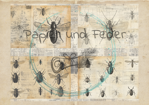 "Das Sketchbuch der Natur" // Papier & Feder // 24 Seiten // 25,5 cm x 19,6 cm