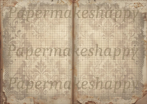 "Books & Damask" // Papermakeshappy // 9 Blatt Designpapier // doppelseitig bedruckt