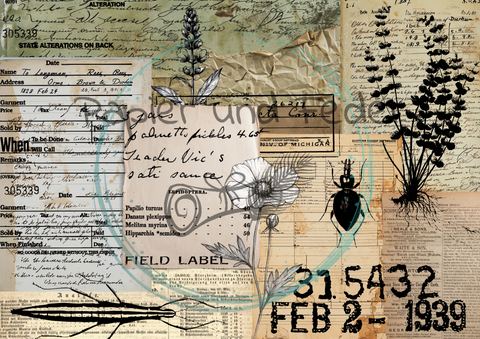 "Das Sketchbuch der Natur" Collagepapier // Papier & Feder // 12 Seiten