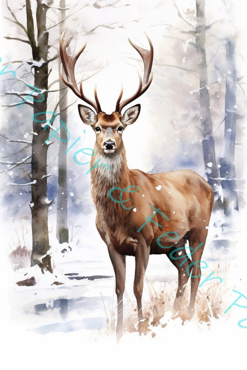 Card set for the paper set "Winter Woodland" // 24 pieces // 2 different sizes // 200g/m²