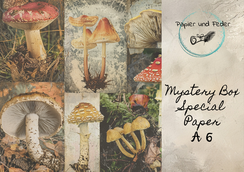 Papier & Feder "Mystery Box" - Papiersets Nrn. 6 - 10