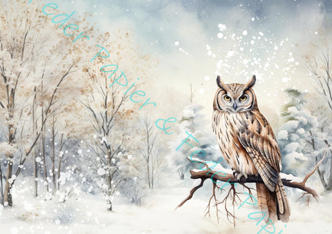 Designpapier "Winter Woodland" // "kleines Format" auf DIN A 4 // 6 Seiten + eine Bonusseite