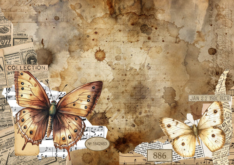 Themenbox "Schmetterlinge" // Papier & Feder