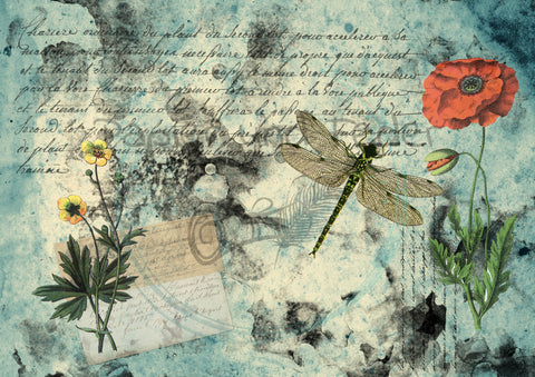 Design paper "Betty's herb garden" // "small format" on DIN A 4 // 6 pages + a bonus page