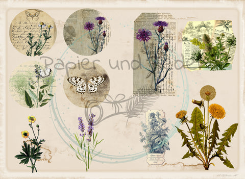 Ephemera-Avis for the paper set "Betty's Herb Garden" // 12 pages // DIN A 5 // printed double-sided