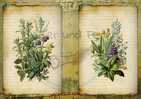 Design paper "Betty's herb garden" // "small format" on DIN A 4 // 6 pages + a bonus page