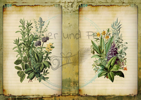 Design paper "Betty's herb garden" // 12 pages // DIN A 4 // printed on ONE SIDE (front sides)