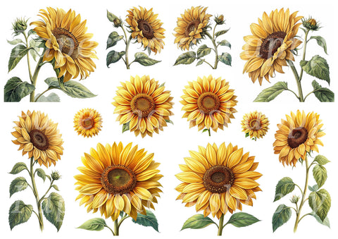 "Dreamcatcher" // Papermakeshappy // Ephemera set // 200 g/m²