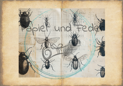 "Das Sketchbuch der Natur" // Papier & Feder // 24 Seiten // 20,8 cm x 17 cm (Toffifee)