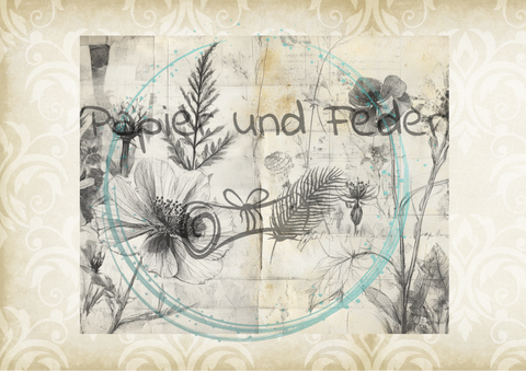 "Das Sketchbuch der Natur" // Papier & Feder // 24 Seiten // 20,8 cm x 17 cm (Toffifee)