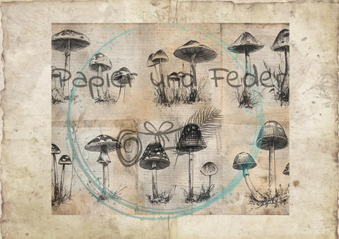 "Das Sketchbuch der Natur" // Papier & Feder // 24 Seiten // 20,8 cm x 17 cm (Toffifee)