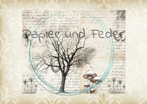 "Das Sketchbuch der Natur" // Papier & Feder // 24 Seiten // 20,8 cm x 17 cm (Toffifee)