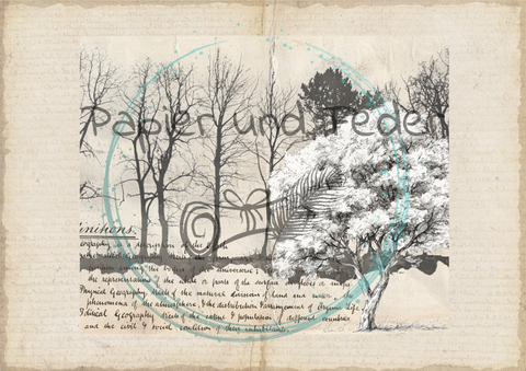 "Das Sketchbuch der Natur" // Papier & Feder // 24 Seiten // 20,8 cm x 17 cm (Toffifee)