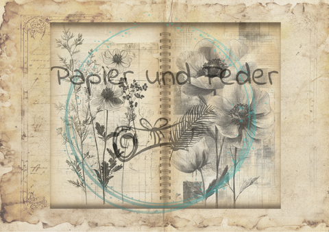 "Das Sketchbuch der Natur" // Papier & Feder // 24 Seiten // 20,8 cm x 17 cm (Toffifee)