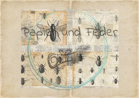 "Das Sketchbuch der Natur" // Papier & Feder // 24 Seiten // 20,8 cm x 17 cm (Toffifee)