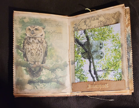 Journal "Owls" // handmade by Betty