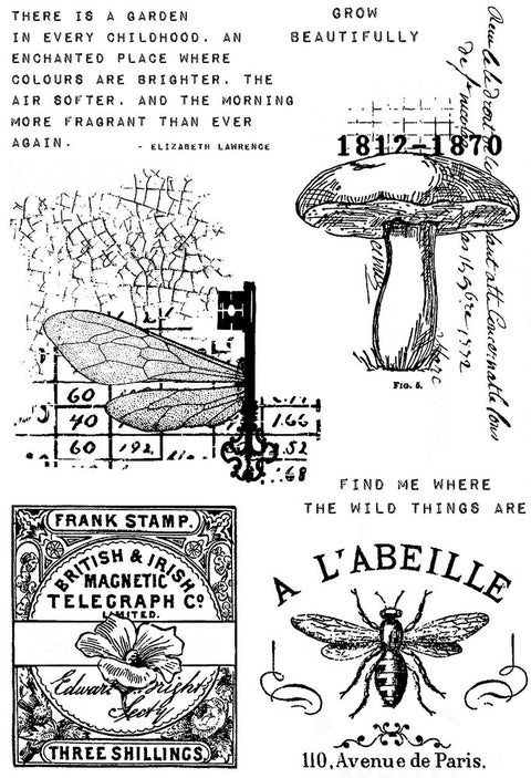 "Snippets of Nature" // Creative Expressions Stamp A 6 // Sam Poole 