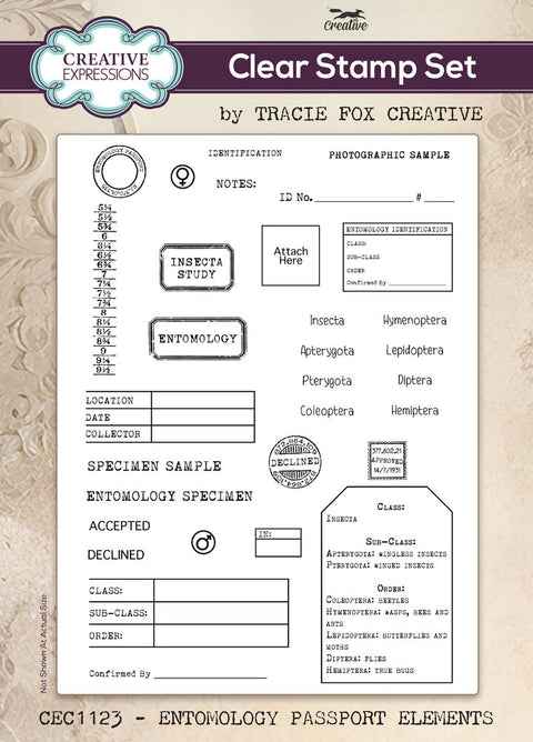 "Entomology Passport" // Creative Expressions Stamp A 5 // Tracie Fox 