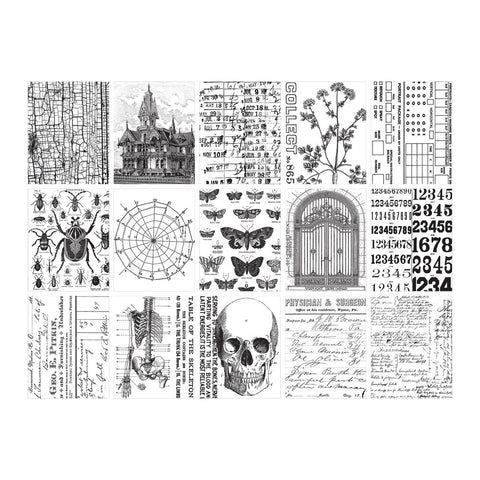 Tim Holtz - Idea-ology // Collage Paper // "Halloween 2024" // 30 sheets